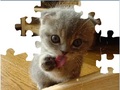 Cute Cat Puzzle untuk bermain online