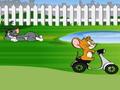 Tom Dan Jerry Backyard Naik untuk bermain online