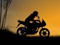 Night Rider untuk bermain online