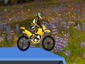 Hillblazer FMX untuk bermain online