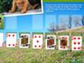 Animal Planet Solitaire untuk bermain online