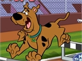 Scooby Doo - Steeplechase untuk bermain online