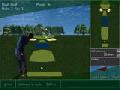 Golf untuk bermain online